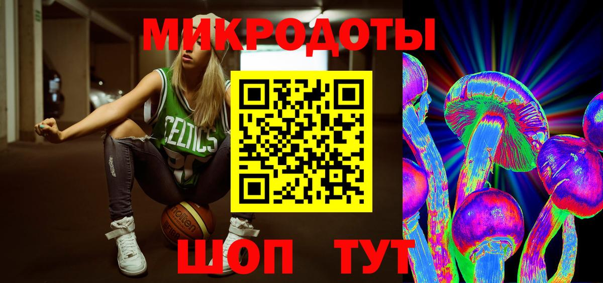 Галлюциногенные грибы Psilocybe  Вход с VPN  Псилоцибиновые грибы мухоморы  Новошахтинск 